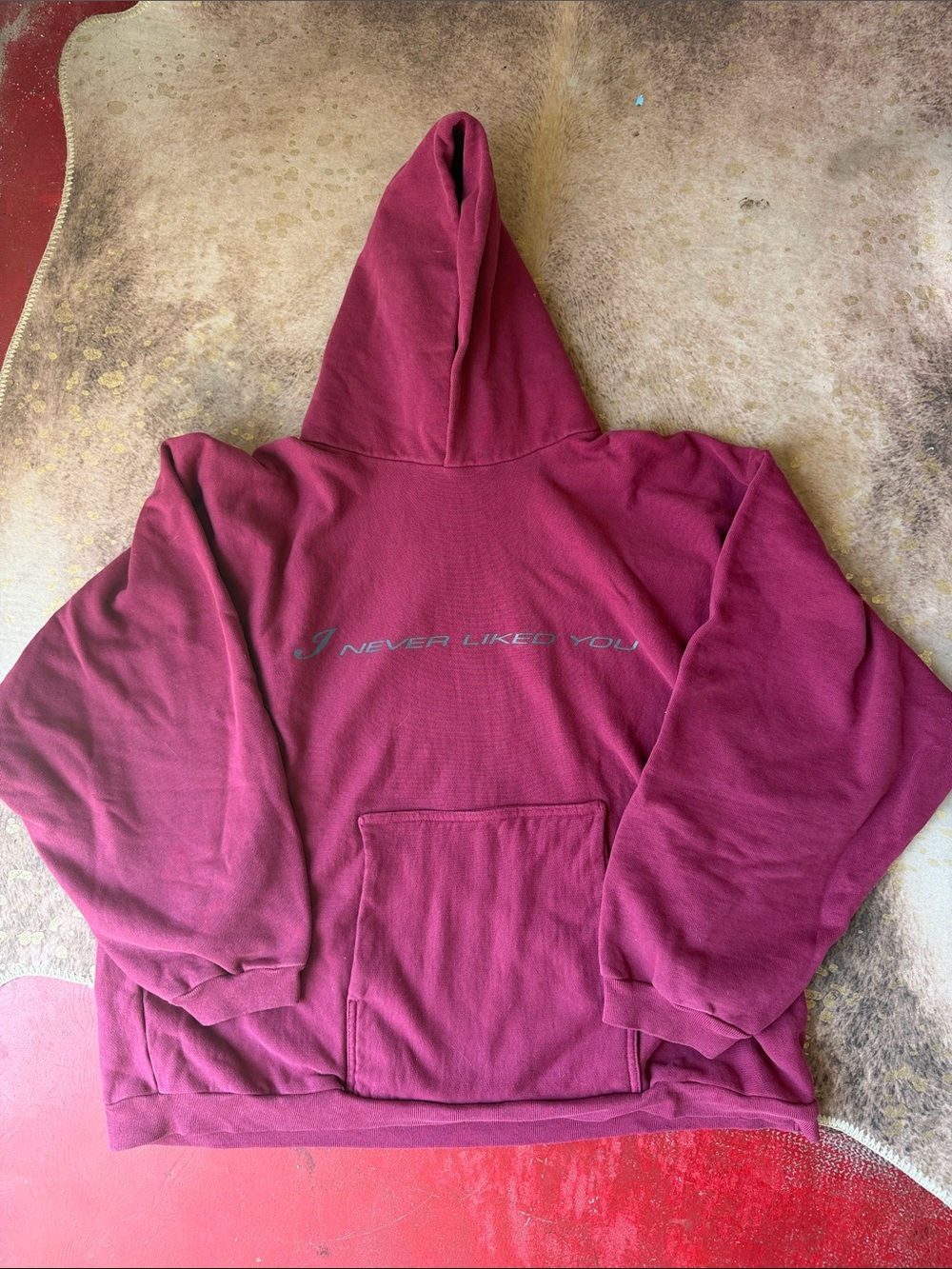 I never liked you hoodie
